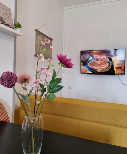 Apartamento Le Pro * Wifi * Netflix *