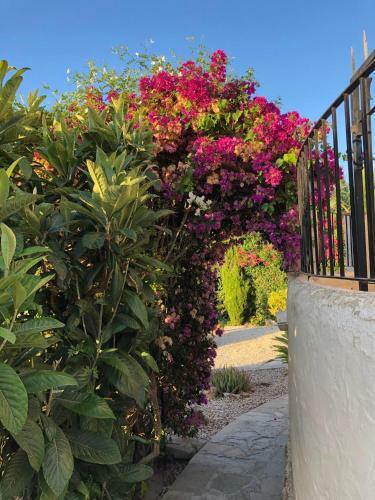 Family Holiday Villa In Moraira With Private Pool