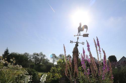 Bed & Breakfast Haras Du Taillis