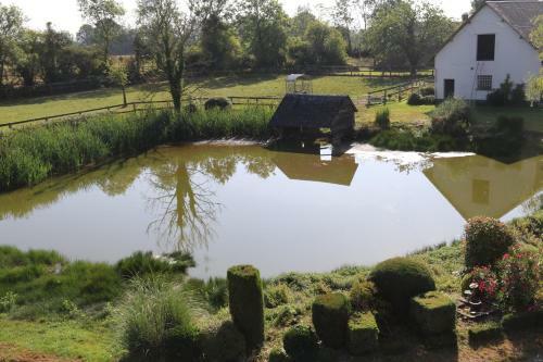 Bed & Breakfast Haras Du Taillis