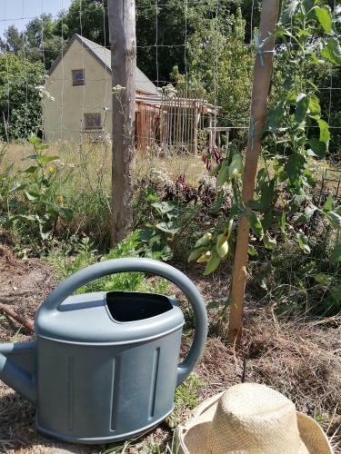 Micro Gite En Paille, L'exp�rience �cologique