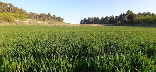 La Caseta De L'�liba