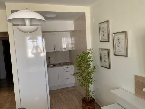 Apartamentos Hern�n Cort�s