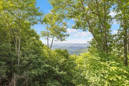New! Blueberry Meadows In Beech Mountain