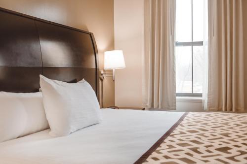 Chicago South Loop Hotel