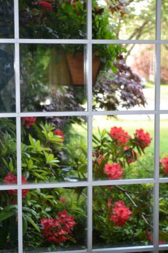 At Restawhile B&B