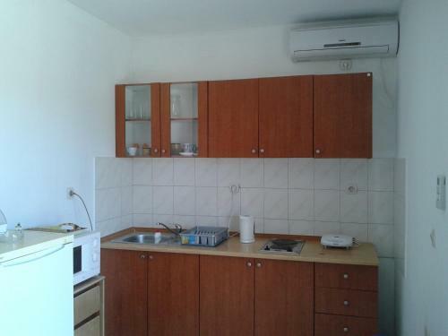 Apartments Lon?arevi?