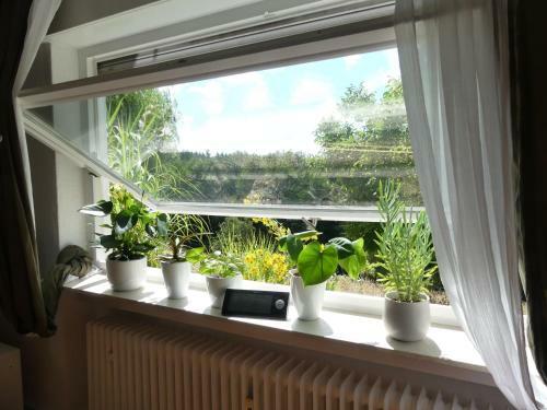 Ferienwohnung Am Homerich