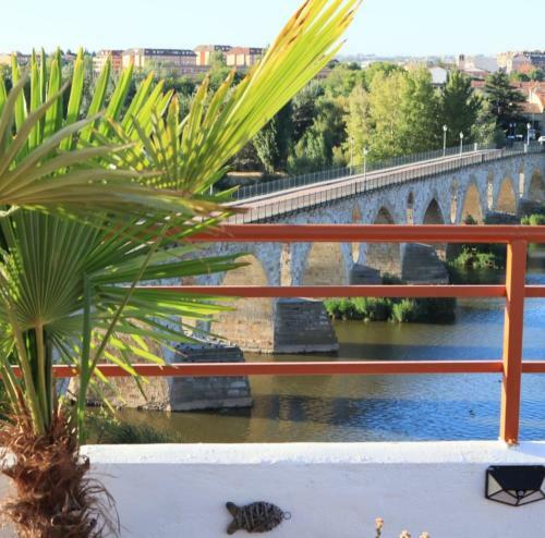 Apartamentos A Los Ojos Del R�o Duero