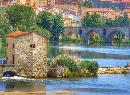 Apartamentos A Los Ojos Del R�o Duero