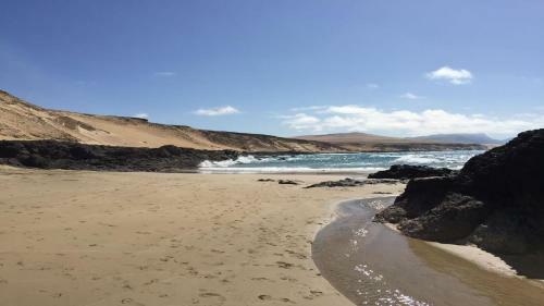 Wave Powered By Solymarcalma