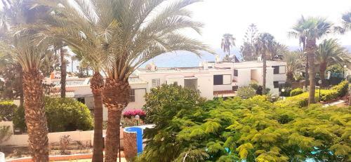 Apartamento Nueva Europa Studio Ocean View