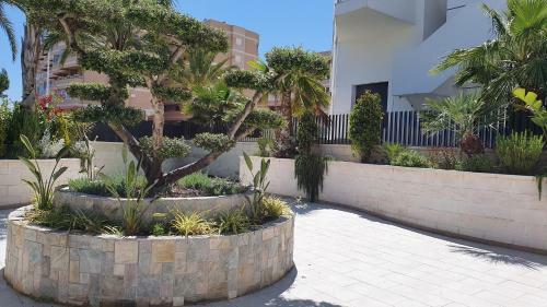 Apartament Summer