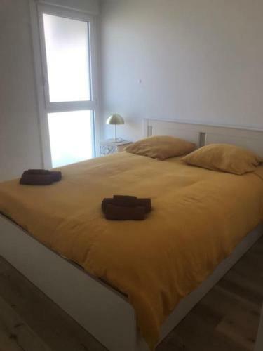 Apartamento Superbe Appartement Face Au Port � Sec D'arcachon