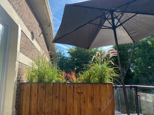 Apartamento Loft In Der Alten Spinnerei