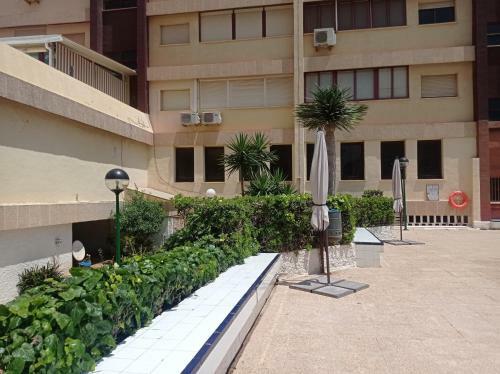 Apartamento Albatros