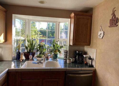 Cheerful 3 Bedroom Large Kitchen Cul De Sac