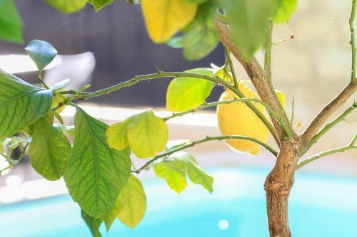 Bed & Breakfast L'h�tel Particulier Guilhon