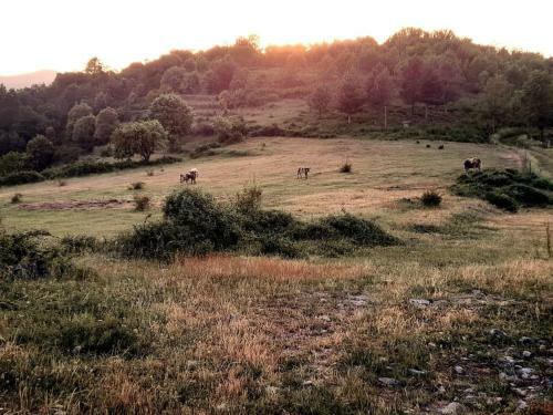 Jolie Maison Avec Vue, Dans B�tisse C�venole
