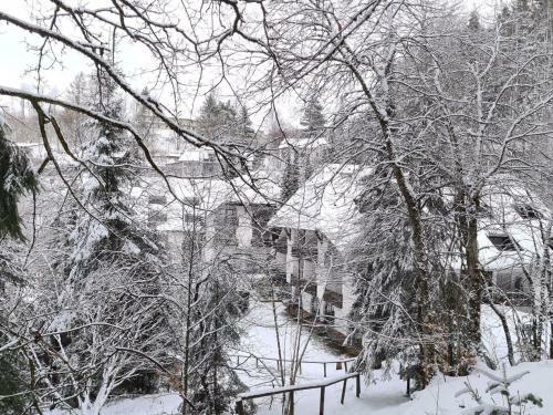 Apartamento Ferienwohnung In Triberg Am Waldrand - Idyllisch, Ruhig, Erholsam