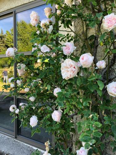 Bed & Breakfast Lulu En Provence