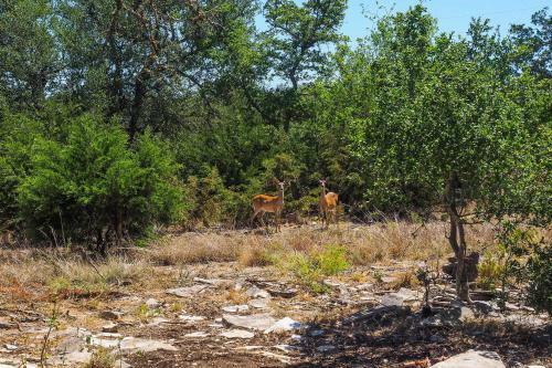 Quaint Kerrville Home Near Guadalupe River!