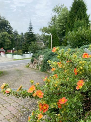 Apartamento Haus Norway Sandnes