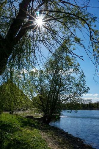 Bed & Breakfast L'or�e Du Lac - Formule Chambres