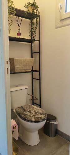 Maison Cocooning Proche Beauval, Nature, Ch�teaux.