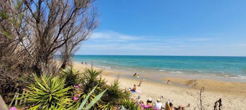 Apartamento Studio Refait A Neuf - 200m De La Plage