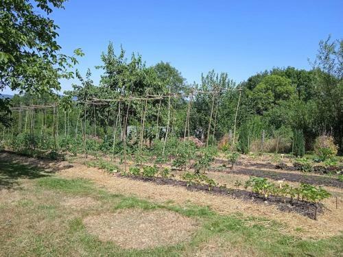 Charmant G�te Haut-marnais