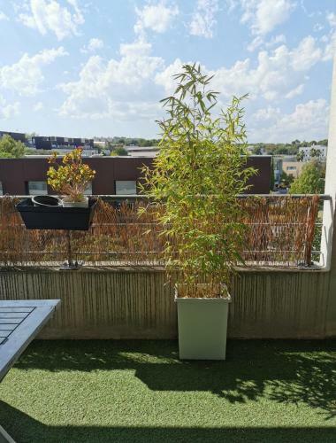 Apartamento Appart T1bis Malbosc