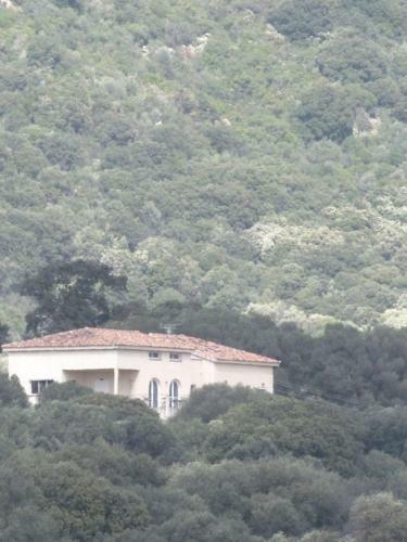 Bed & Breakfast U Pianarellu