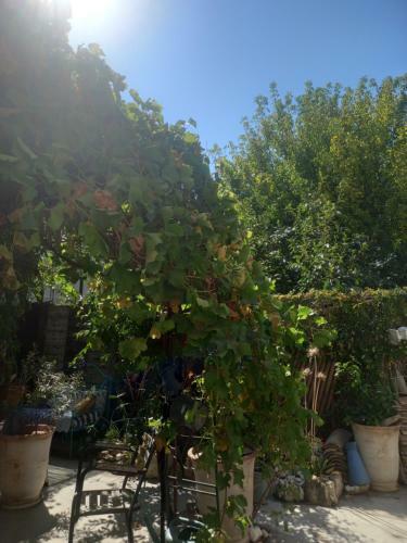 Bed & Breakfast La Magnanerie