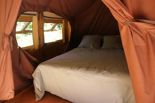 Chez Tombivouac