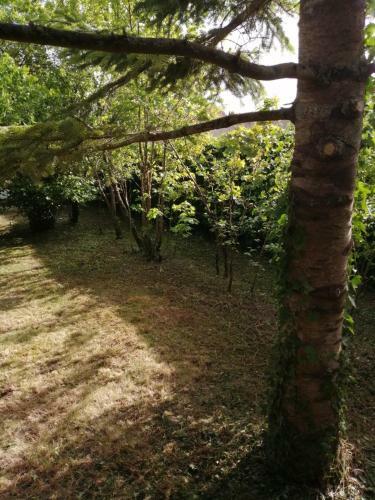 Wight Cottage