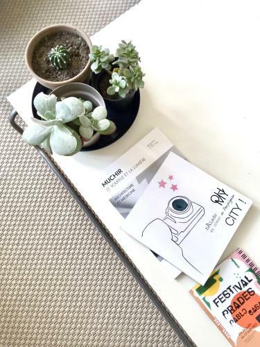 Apartamento Dans Une Maison, Appartement Ind�pendant Et Jardin
