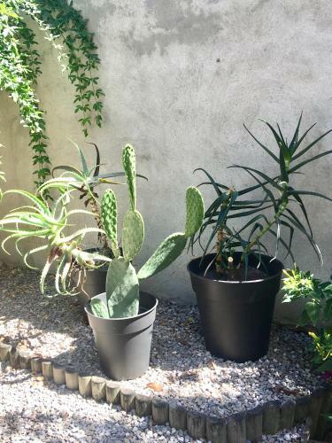 Apartamento Dans Une Maison, Appartement Ind�pendant Et Jardin