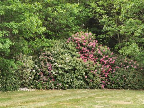 Hostal Ch�teau De Launay Guen