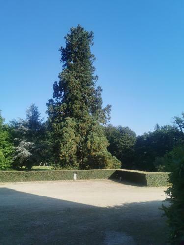 Hostal Ch�teau De Launay Guen