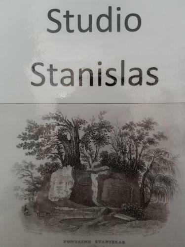 Apartamento Le Studio Stanislas