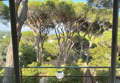 Apartamento La Pinede