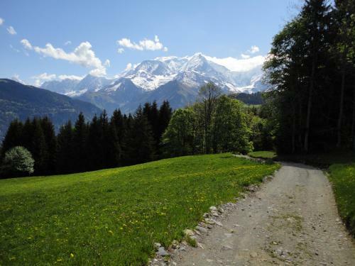 Apartamentos Duo Des Alpages