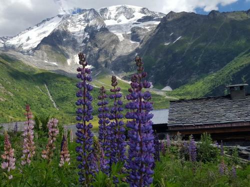 Apartamentos Duo Des Alpages