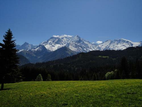 Apartamentos Duo Des Alpages