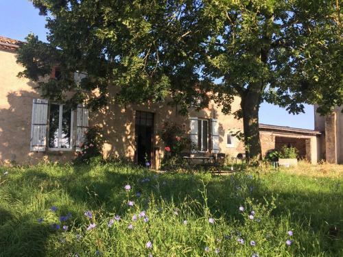 Hostal Chambres D'h�tes Les Pieds Dans L'herbe