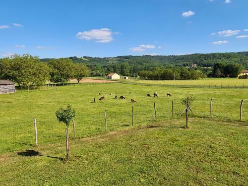 Apartamento Le S�choir Des Acacias, L'or�e Du Bois
