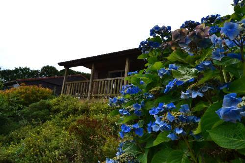 Beautiful Lake View 3 Bedroom Chalet.