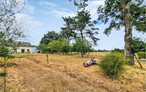 Awesome Home In Saint-martin-sur-oust With 3 Bedrooms