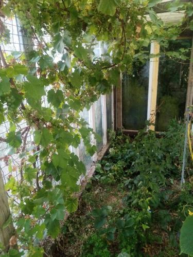 Emplacement Tentes Camping Nature